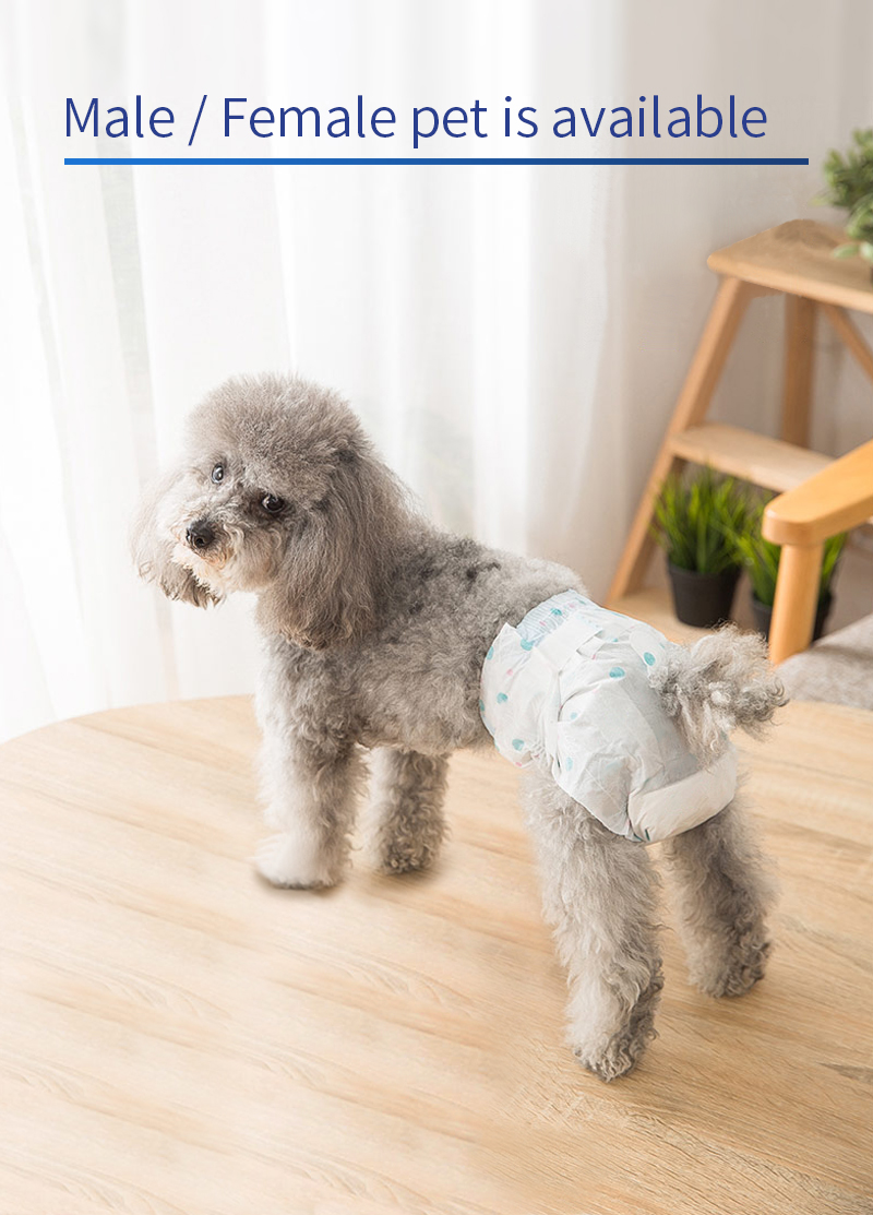 disposable pet diapers manufacturer